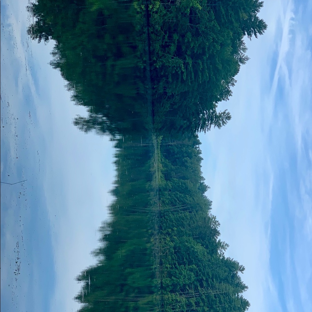 Meet your Posher, Shannon